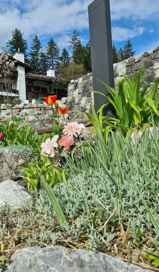 Alpenchalet Zum Jeremia グライナウ エクステリア 写真